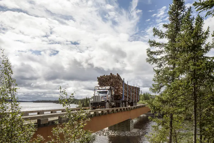 Foresterie durable - 1