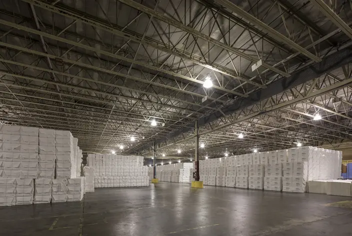 Kraft pulp