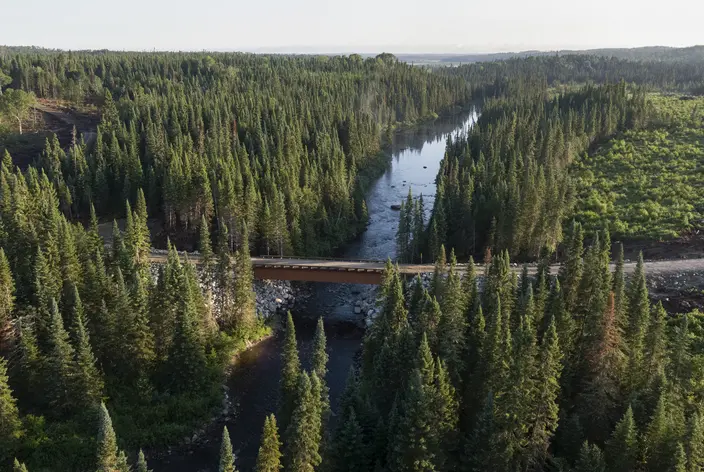 Nordic forestry bridge