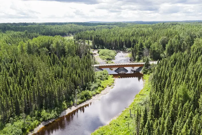 Nordic forestry bridge