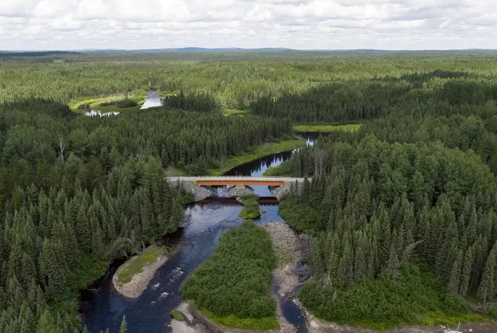 Nordic forestry bridge
