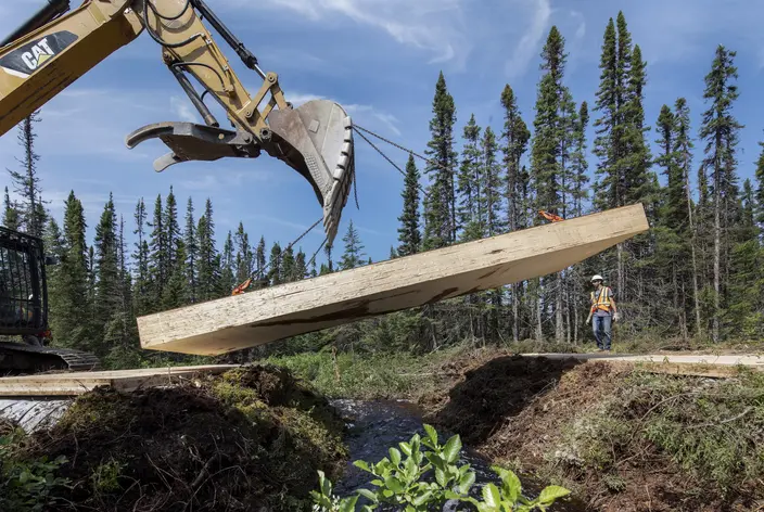 Nordic forestry bridge