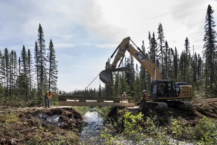 Nordic forestry bridge