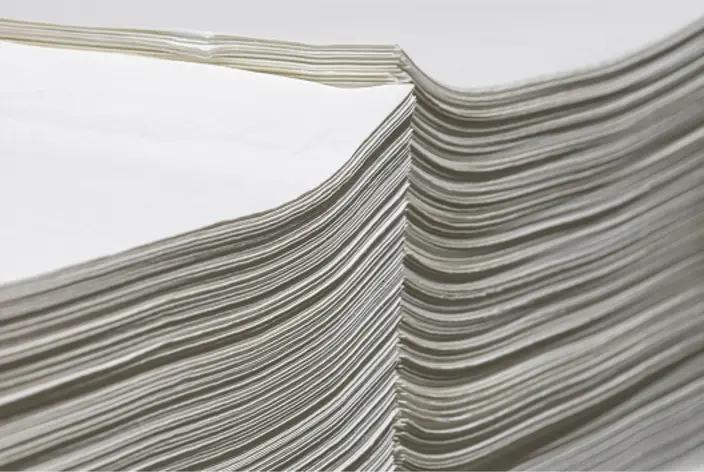 Kraft pulp