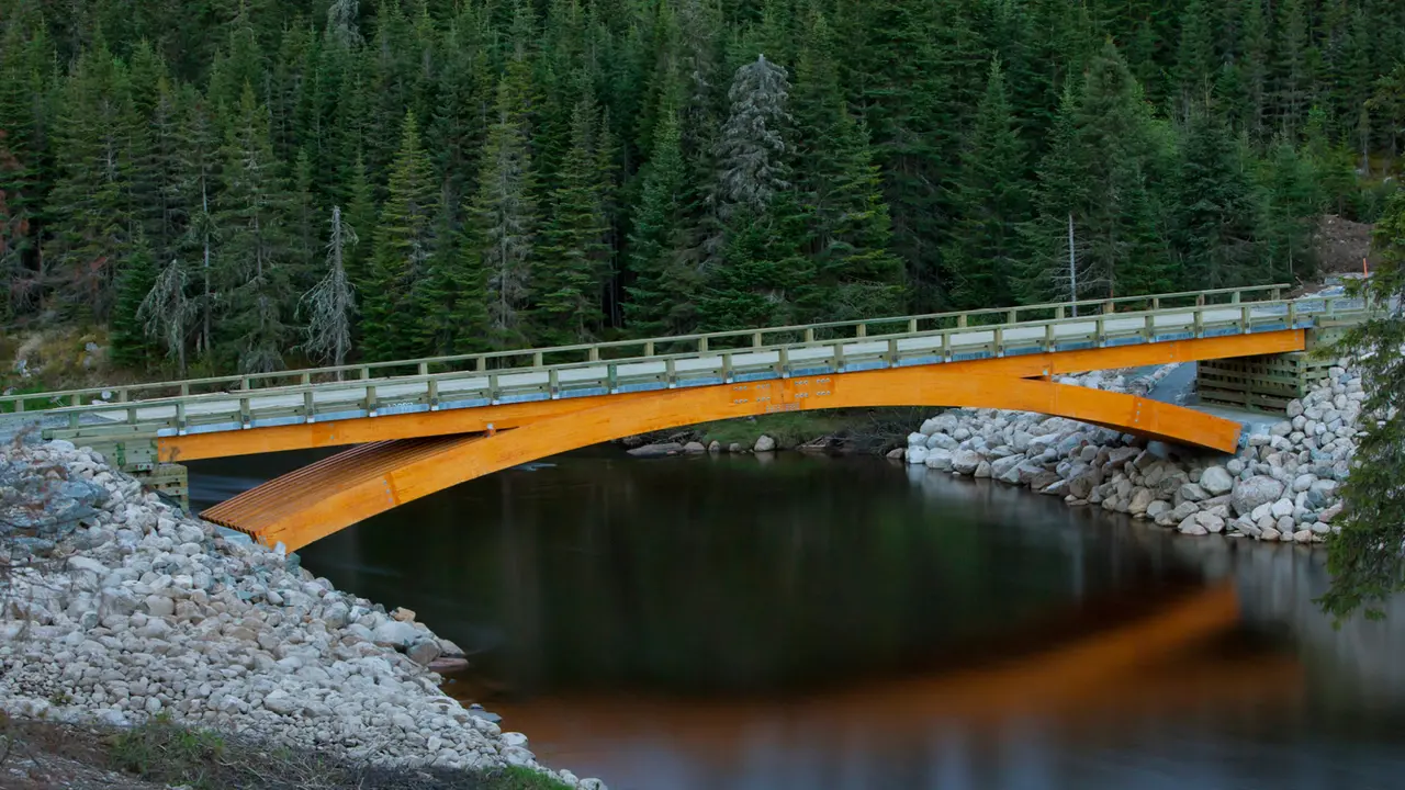 Montmorency Forest Bridge